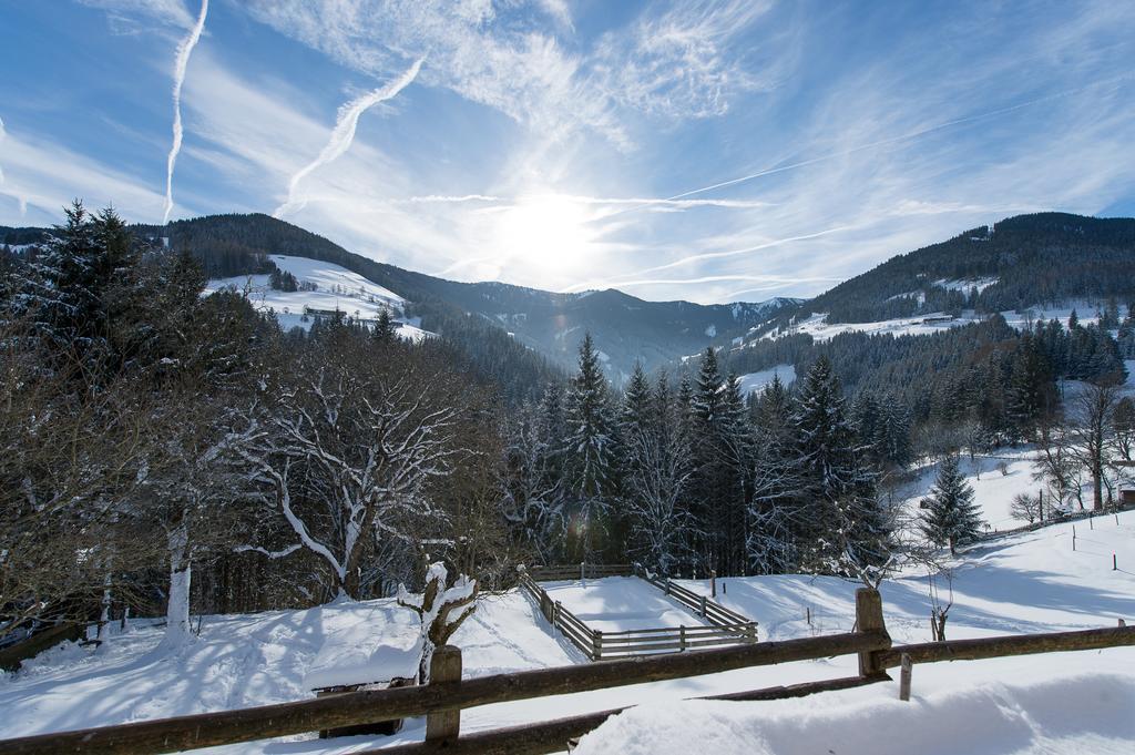 Hotel Gasthof Erbhof Anderlhof Leogang Kültér fotó